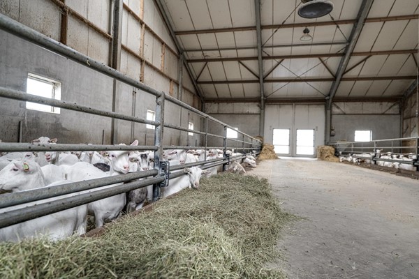 Medium property photo - Langeboomsestraat 7, 7046 AA Vethuizen