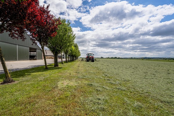 Medium property photo - Langeboomsestraat 7, 7046 AA Vethuizen