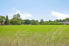 Hopveld455482LWSchijndel-37.jpg