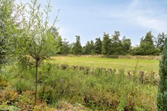 Baselaarshoef635481NCSchijndelNL-36.jpg