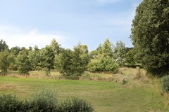 Baselaarshoef635481NCSchijndelNL-29.jpg