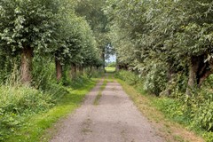 Baselaarshoef635481NCSchijndelNL-37.jpg