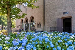 Boschweg61125481ECSchijndel-31.jpg