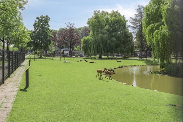 Medium property photo - Kerkendijk 108, 5482 KK Schijndel