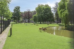 Kerkendijk1085482KKSchijndel-48.jpg