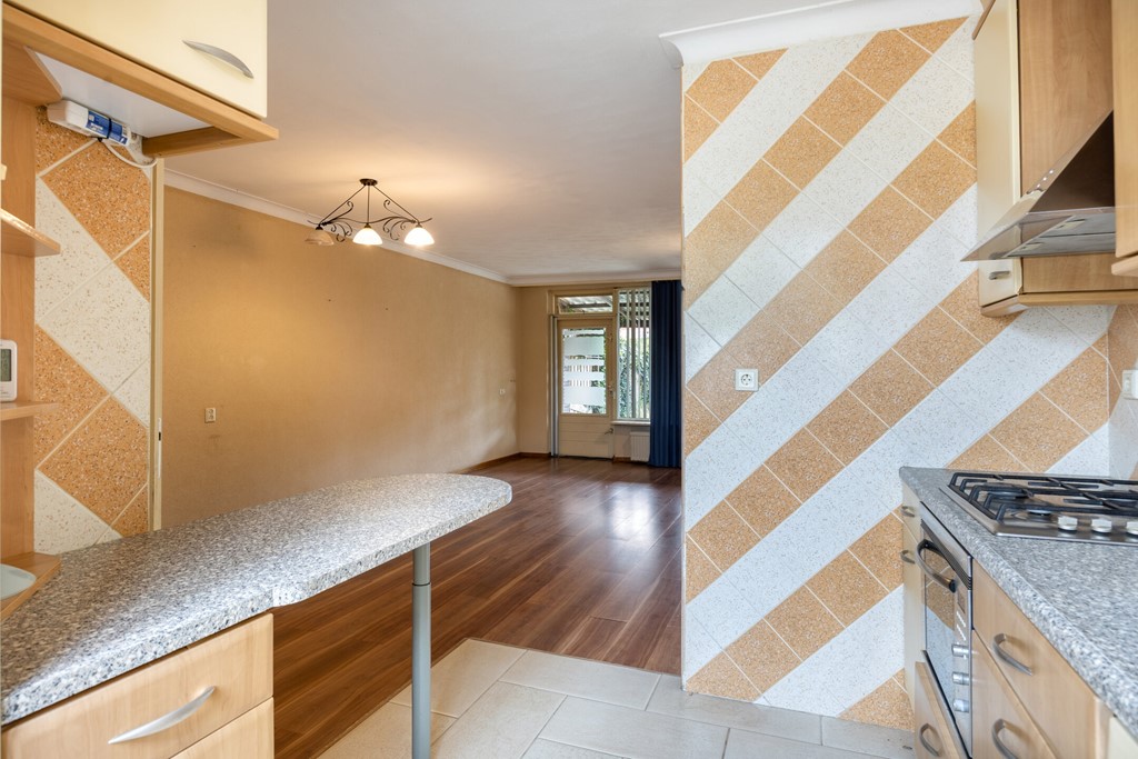 Salviahof135482PKSchijndelNL-11.jpg Salviahof135482PKSchijndelNL-11.jpg