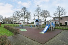 64.jpg