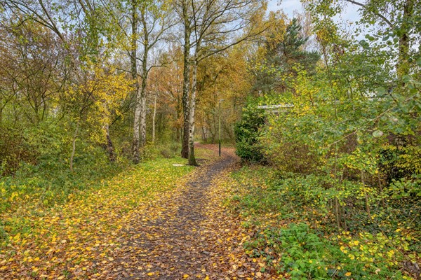 Medium property photo - Neptunus 4, 5482 XB Schijndel