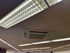 IMG_1630.jpeg