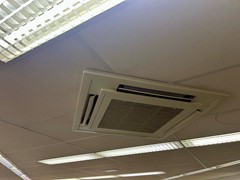 IMG_1631.jpeg