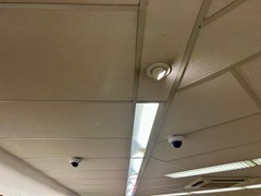 IMG_1629.jpeg