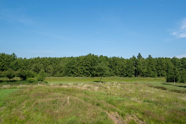 Medium property photo - Bisschopshof 23, 7981 ED Diever