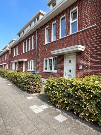 apartments for rent on De Catoenboom 13