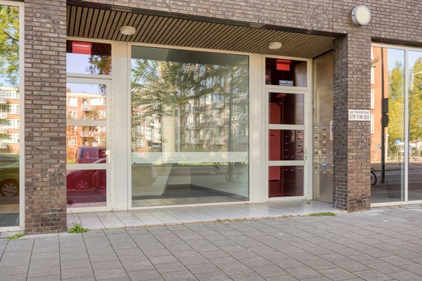 JanTooropstraat5811061aeAmsterdamNL-06.jpg