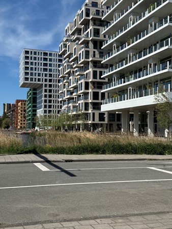 IMG_7711.JPG