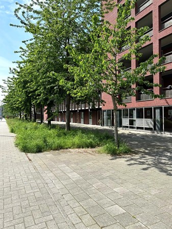 Verkocht: Huniadijk 67, 3079EG Rotterdam