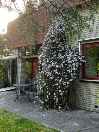 Medium property photo - Sportlaan 3, 3233 AW Oostvoorne