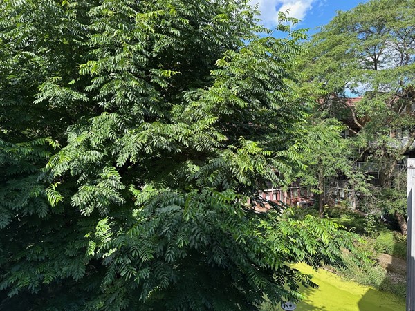 Medium property photo - Stroveer 234, 3032 GA Rotterdam