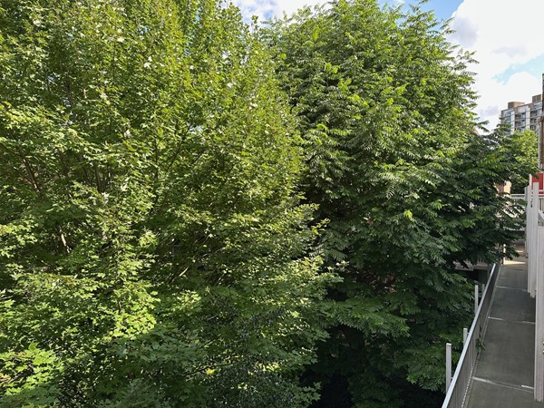 Medium property photo - Stroveer 234, 3032 GA Rotterdam