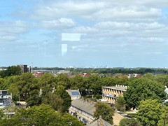 IMG_5020.jpg