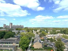 IMG_5019.jpg