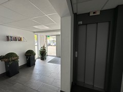 IMG_5010.jpg