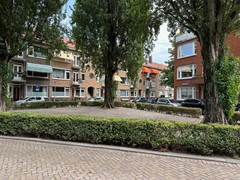 IMG_4982.jpg