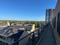 IMG_5081.jpg