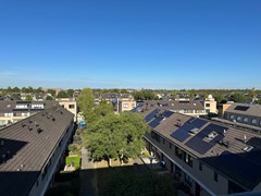 IMG_5082.jpg