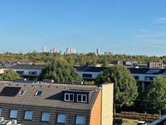 IMG_5084.jpg