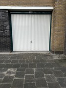 IMG_5550.jpeg