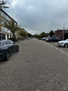 IMG_5552.jpeg