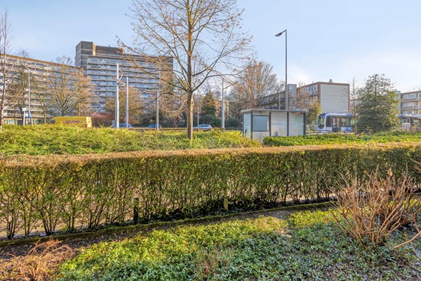 Medium property photo - Meijersplein-Noord 8, 3053 TD Rotterdam