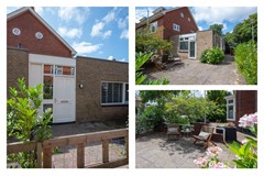 tuin.jpg