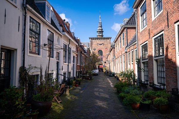 Medium property photo - Grote Houtstraat 156RD, 2011 SX Haarlem