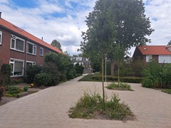 20260807_140038.jpg