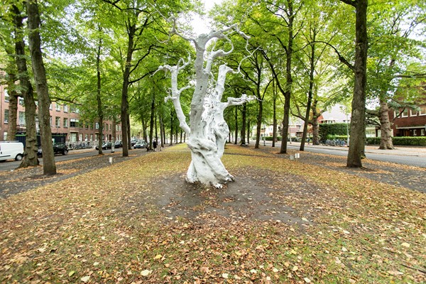 Medium property photo - Apollolaan 187-3, 1077 AV Amsterdam