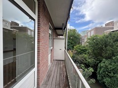 IMG_8135.jpg