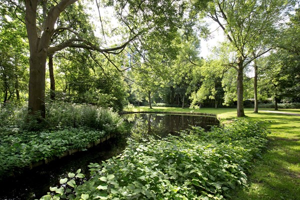 Medium property photo - Schotlandstraat 224, 2034 LG Haarlem