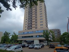 IMG_20250625_124119087.jpg