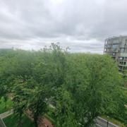 20250625_125341.jpg