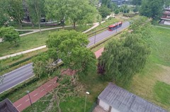 IMG_20250625_124807909.jpg