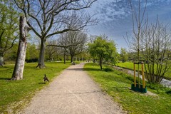 DSC01004-HDR.jpg