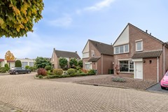 03. DeHeggemus36021ZRBudel-04.jpg