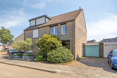 Knopkruid455803JVVenray-01.jpg
