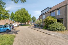 Knopkruid455803JVVenray-04.jpg