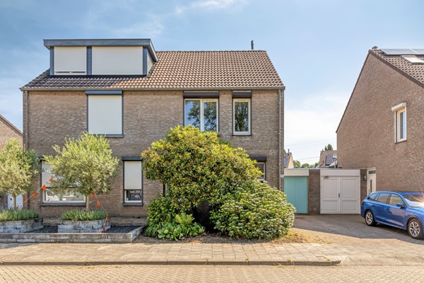 Knopkruid455803JVVenray-02.jpg