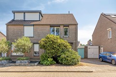 Knopkruid455803JVVenray-02.jpg