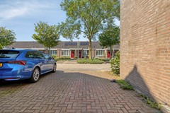 Knopkruid455803JVVenray-05.jpg