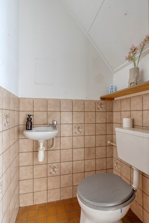 Knopkruid455803JVVenray-08.jpg